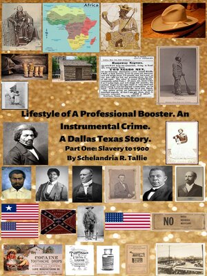 cover image of Lifestyle of a Professional Booster. an Instrumental Crime. a Dallas Texas Story. Part One